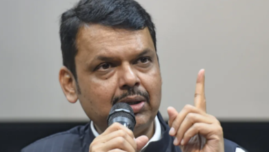 Photo of सीएम फडणवीस पर बनाया पुराना वीडियो वायरल, BJP ने काटा महिला नेता का टिकट