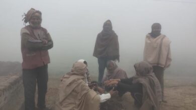 Photo of राजस्थान में कड़ाके की ठंड का असर, 20 जिलों में घना कोहरा