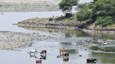 Photo of मैली यमुना वाली दिल्ली के लिए अभी क्रूज की सवारी दूर