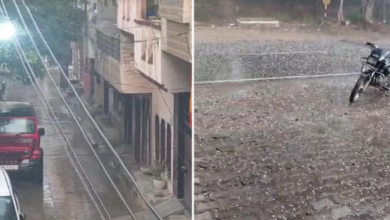 Photo of हरियाणा में बारिश, नारनौल और हिसार में गिरे ओले
