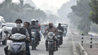 Photo of  कोहरे की गिरफ्त में मध्यप्रदेश, दिन में भी बढ़ी ठिठुरन