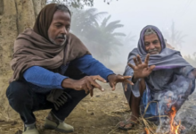 Photo of  राजस्थान में कड़ाके की सर्दी का असर, 5 जिलों में शीतलहर और 9 में घने कोहरे का अलर्ट