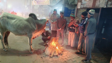 Photo of हरियाणा में आज से चलेंगी बर्फीली हवाएं: 31 जनवरी को होगा पश्चिमी विक्षोभ सक्रिय