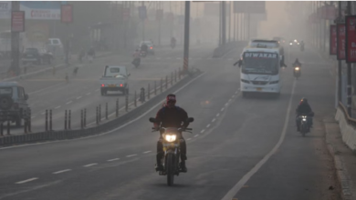 Photo of एमपी में ओले-बारिश के बाद कोहरे की चादर, 31 जनवरी से फिर बदलेगा मौसम