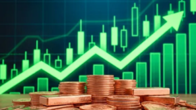 Photo of 2 महीने में पैसा किया डबल! आज 18% भागा ये सरकारी शेयर, 4 दिन से जारी है तूफानी तेजी