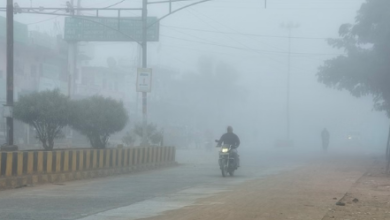 Photo of  रिमझिम बारिश के बाद फिर छाया घना कोहरा