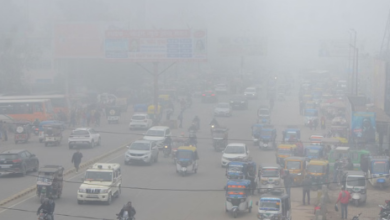 Photo of  बरेली-बदायूं में छाया घना कोहरा, हवा ने बढ़ाई ठिठुरन; एक से तीन फरवरी तक बारिश के आसार
