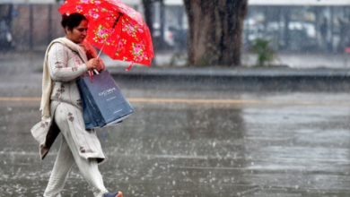 Photo of पंजाब में आज से बिगड़ेगा माैसम: तीन दिन तेज हवाओं व बारिश का अलर्ट