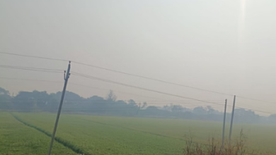 Photo of हरियाणा में आज सक्रिय होगा पश्चिमी विक्षोभ: 2 फरवरी तक बारिश की संभावना