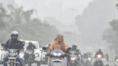 Photo of मध्य प्रदेश के उत्तरी हिस्से में छाया कोहरा,फरवरी की शुरुआत आंधी-बारिश से, 3 दिन अलर्ट,फिर बढ़ेगी ठंड