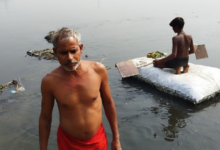 Photo of यमुना नदी में घट रही हैं देसी मछलियां, NGT का निर्देश- प्रवासन के लिए केंद्र और राज्य सरकार उठाएं कदम