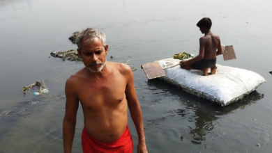 Photo of यमुना नदी में घट रही हैं देसी मछलियां, NGT का निर्देश- प्रवासन के लिए केंद्र और राज्य सरकार उठाएं कदम