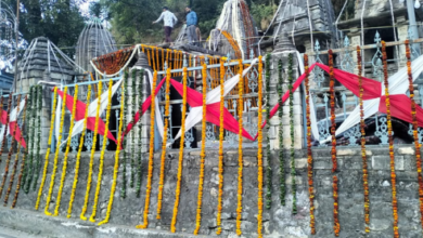 Photo of  14 जनवरी को मकर संक्रांति पर खुलेंगे आदिबदरी मंदिर के कपाट