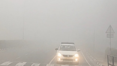Photo of मैदान में कोहरा तो पहाड़ में पाला बढ़ाएगा ठंड, मौसम वैज्ञानिकों ने बताया कब होगी बारिश
