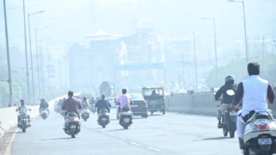 Photo of सुबह धुंध, दिनभर सर्दी, MP में जनजीवन प्रभावित,स्कूलों की छुट्टी