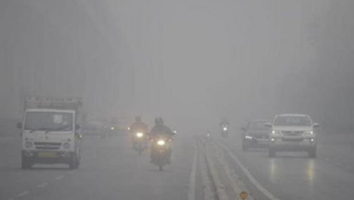 Photo of पंजाब में कड़ाके की ठंड और घना कोहरा जारी