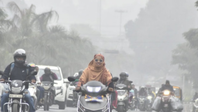 Photo of कोहरे की चपेट में मध्यप्रदेश, कई इलाकों में पारा 4 डिग्री के करीब