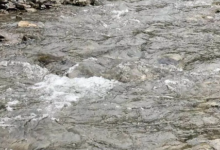 Photo of पौड़ी और नैनीताल की तीन नदियों को मिलेगा नया जीवन, शासन ने दी 5.19 करोड़ रुपये की स्वीकृति