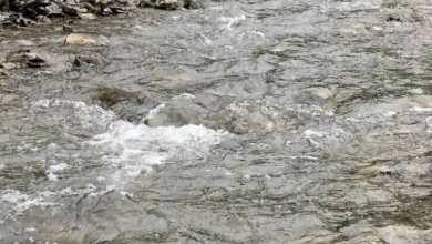 Photo of पौड़ी और नैनीताल की तीन नदियों को मिलेगा नया जीवन, शासन ने दी 5.19 करोड़ रुपये की स्वीकृति