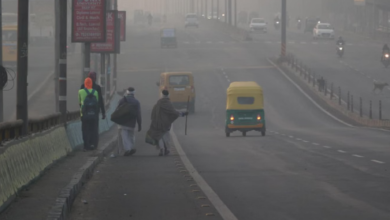 Photo of कड़ाके की ठंड ने बढ़ाई मुश्किलें, कोहरे-शीतलहर से ठिठुरन, भोपाल में टूटा 10 साल का रिकॉर्ड