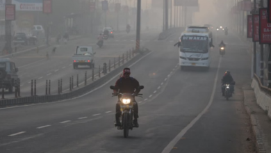 Photo of मध्यप्रदेश में ठंड का डबल अटैक, रातें जमा रहीं, दिन भी ठंडे