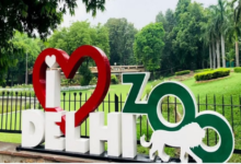 Photo of चिड़ियाघर, नाइट सफारी और पुराना किला के लिए एक ही टिकट की तैयारी