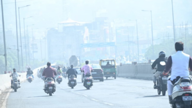 Photo of मध्य प्रदेश में ठंड का डबल अटैक, कोहरे के साथ चल रही शीतलहर