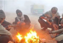 Photo of ठंड से कांपा राजस्थान, कई जिलों में कोहरा छाया