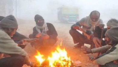 Photo of ठंड से कांपा राजस्थान, कई जिलों में कोहरा छाया