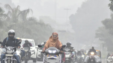 Photo of गलनभरी ठंड का कहर जारी, 15 से ज्यादा जिले कोहरे की गिरफ्त में, बेहाल हुए लोग