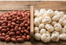 Photo of हेल्दी स्नैकिंग के लिए मूंगफली ज्यादा सही है या मखाना… किसे खाने से वजन घटाने में मिलेगी मदद?