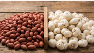 Photo of हेल्दी स्नैकिंग के लिए मूंगफली ज्यादा सही है या मखाना… किसे खाने से वजन घटाने में मिलेगी मदद?
