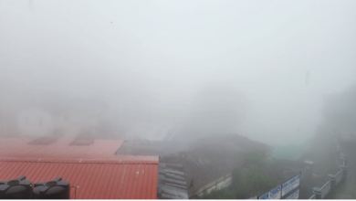 Photo of आज पहाड़ों में पाला बढ़ाएगा ठिठुरन, मैदानी इलाकों में घने कोहरे का यलो अलर्ट