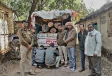 Photo of वन विभाग की बड़ी कार्रवाई, डेढ़ लाख की अवैध सागौन के साथ पिकअप जब्त