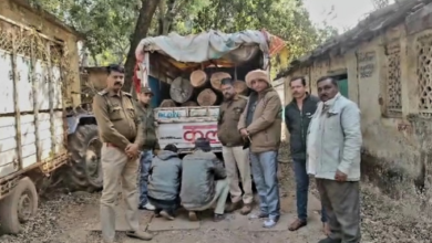Photo of वन विभाग की बड़ी कार्रवाई, डेढ़ लाख की अवैध सागौन के साथ पिकअप जब्त