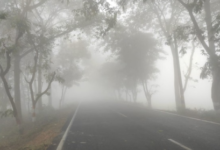 Photo of राजस्थान में कड़ाके की ठंड बरकरार, 6 जिलों में शीतलहर का अलर्ट