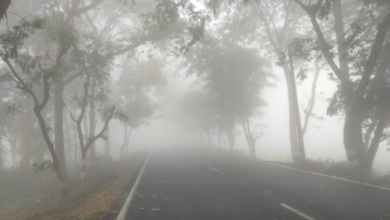 Photo of राजस्थान में कड़ाके की ठंड बरकरार, 6 जिलों में शीतलहर का अलर्ट