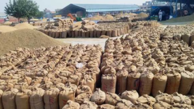 Photo of हरदोई धान खरीद घोटाला: फर्जी सत्यापन कर 450 किसानों से खरीदा 2500 क्विंटल धान