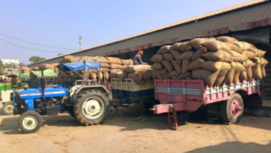 Photo of असंध व कुंजपुरा मंडी में फर्जीवाड़ा का अंदेशा: कागजों में बिका 46.04 करोड़ रुपये का धान