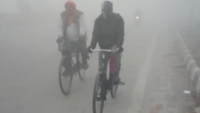 Photo of पंजाब में चार दिन घने कोहरे का अलर्ट: दो पश्चिमी विक्षोभ सक्रिय होने से बदलेगा मौसम