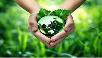 Photo of राजस्थान में ‘ग्रीन क्रेडिट’ नीति लागू; पर्यावरण संरक्षण निवेश पर नकद छूट