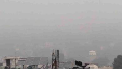 Photo of कोहरे और शीतलहर ने बढ़ाई ठिठुरन, सूखी ठंड कर रही परेशान, आज भी येलो अलर्ट