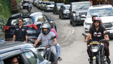 Photo of नैनीताल रोड की चौड़ाई बढ़ाने को काटे जाएंगे 17400 पेड़, NH ने मांगी अनुमति