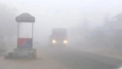 Photo of रात के तापमान में बढ़ने से ठंड में कमी, अगले 2 दिनों तक जारी रहेगा कोहरा