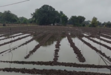Photo of झारखंड निकाय चुनाव: नामांकन से पूर्व उम्मीदवारों को खोलना होगा अलग बैंक खाता