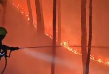 Photo of उत्तराखंड में तैयार हुआ ‘रक्षा कवच’, इस तरह जंगल की आग पर होगा तुरंत एक्शन