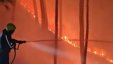 Photo of उत्तराखंड में तैयार हुआ ‘रक्षा कवच’, इस तरह जंगल की आग पर होगा तुरंत एक्शन