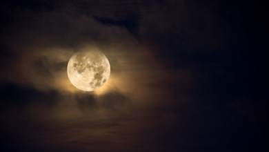 Photo of  होली पर चंद्र ग्रहण और भद्रा का साया, जानें इसका समय और भारत में प्रभाव