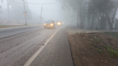 Photo of दिन में शीत दिवस तो रात में शीतलहर की बनी स्थिति