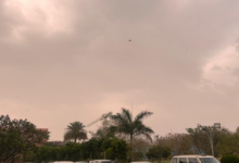 Photo of प्रदेश में कड़ाके की सर्दी, 7 जिलों में शीतलहर का अलर्ट